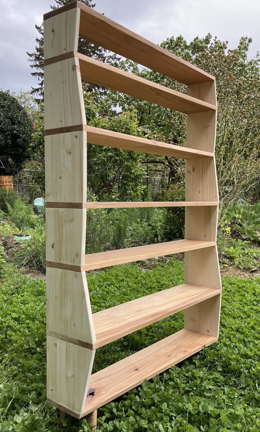 Büchergestell aus weiss geseifter Tanne und geölter Buche mit teilweise gegenläufigen Knicken, 2024, 30 Arbeitsstunden. Preis: 950.- 